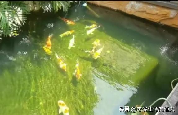 魚缸過濾器水泵:25瓦的魚缸過濾泵開一天幾度電 魚缸百科