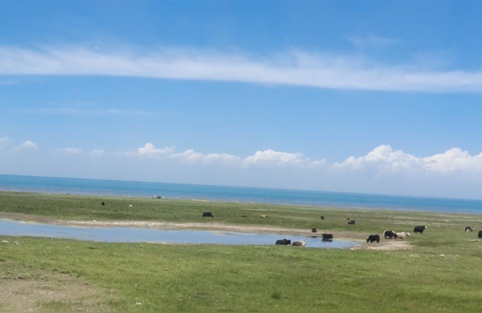 玉樹藏族自治州魚缸批發(fā)市場:青海玉樹屬于海西嗎