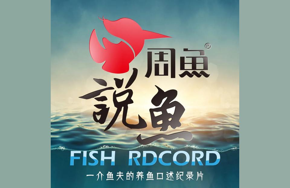 紅龍魚喂食:紅龍魚吃什么蝦好嗎