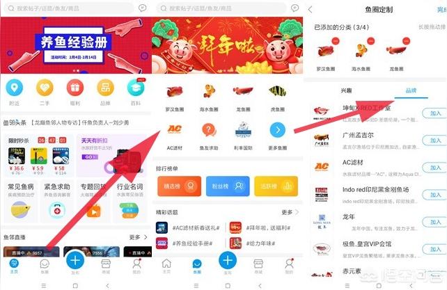 b過(guò)金龍魚爬背:金龍魚浮背是什么原因