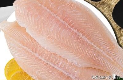 龍利魚(yú)批發(fā):龍利魚(yú)的產(chǎn)地 龍魚(yú)百科