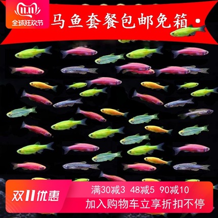 翡翠斑馬魚:翡翠斑馬養(yǎng)殖方法 小型觀賞魚