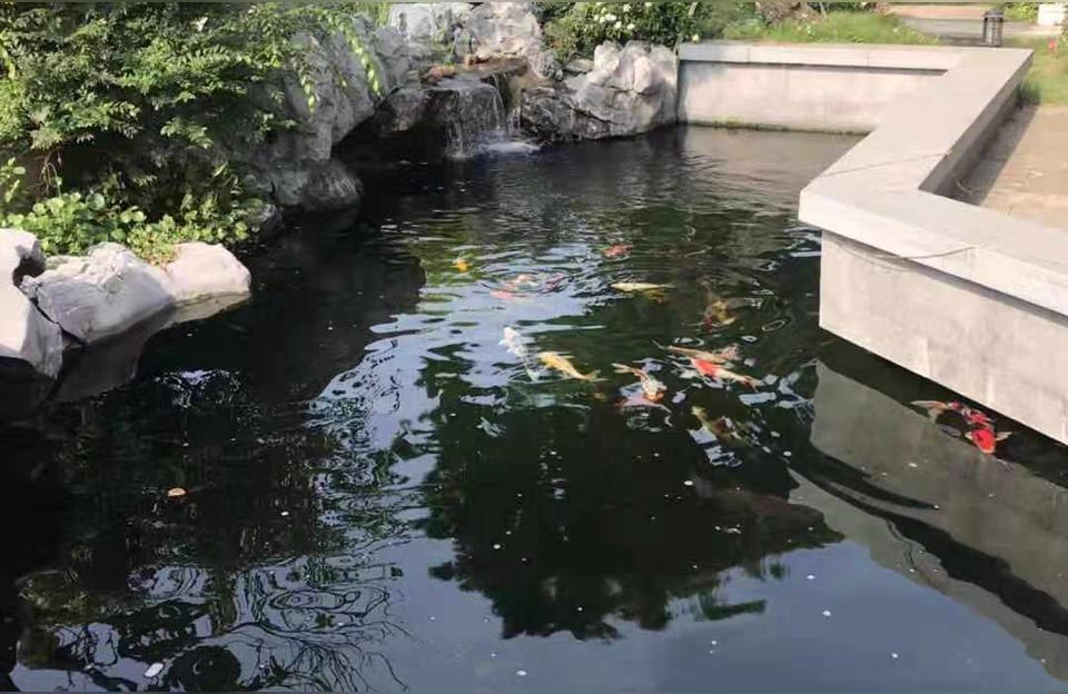 黃岡魚池過濾濾材:室外魚池過濾器用哪個好