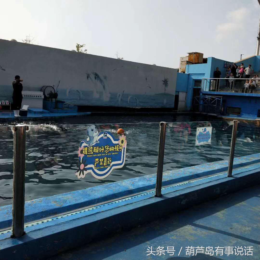 秦皇島哪里有水族館（店）:秦皇島貝殼王國(guó)好玩嗎 觀賞魚水族批發(fā)市場(chǎng)