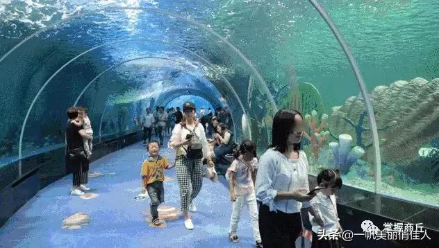 商丘哪里有水族館（店） 觀賞魚水族批發(fā)市場