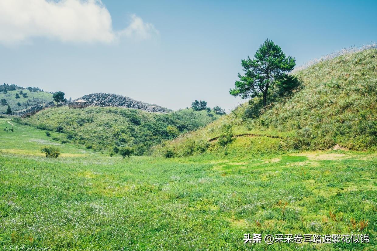 重慶魚池建設(shè):重慶村民修水池發(fā)生意外致7死 錦鯉池魚池建設(shè)