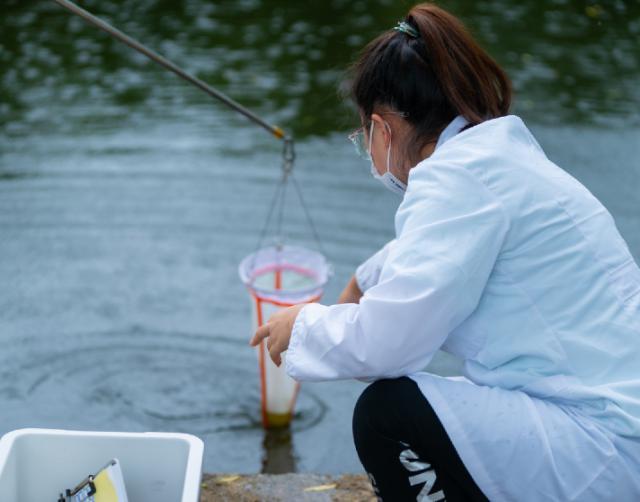 大連魚(yú)池水泵設(shè)備 廣州水族器材濾材批發(fā)市場(chǎng)