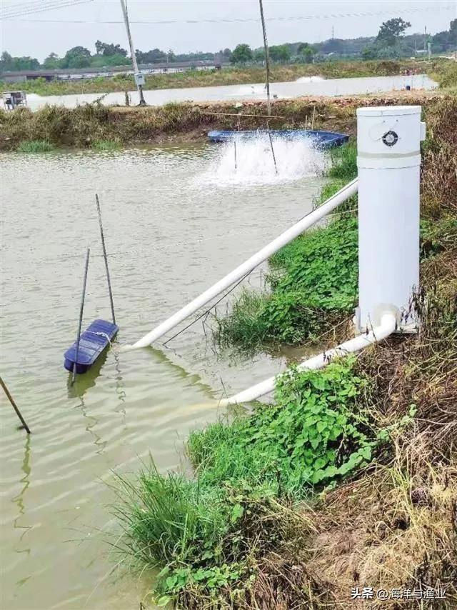 佛山魚池水泵設(shè)備