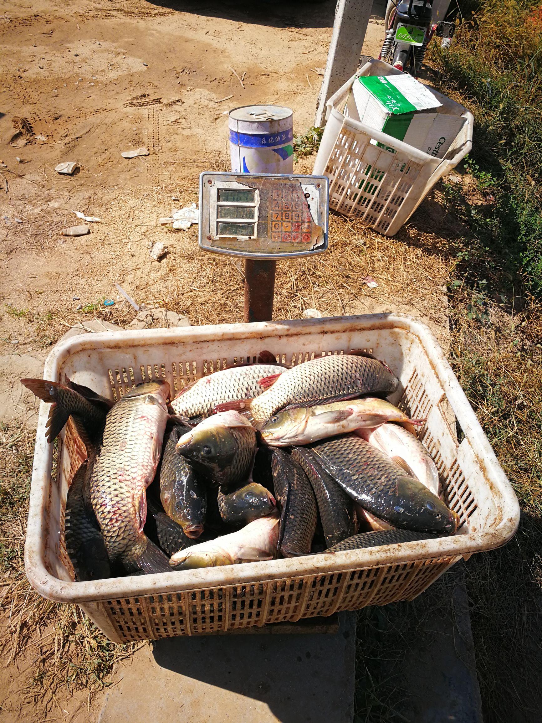 濟南魚池水泵設(shè)備