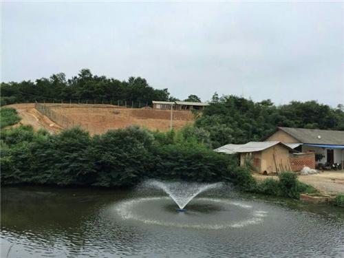 隨州魚(yú)池水泵設(shè)備 廣州水族器材濾材批發(fā)市場(chǎng)