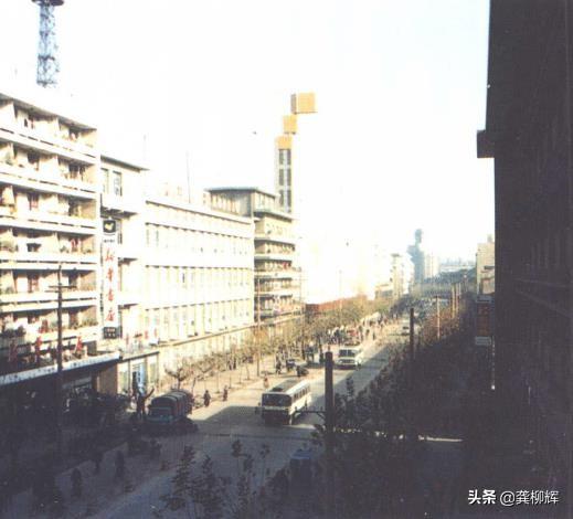 南充魚池建設(shè)