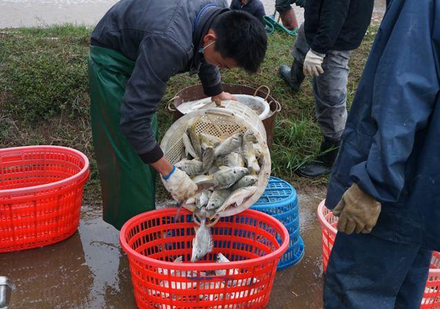 珠海魚池水泵設(shè)備 廣州水族器材濾材批發(fā)市場 第1張