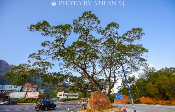 清遠(yuǎn)魚池建設(shè)