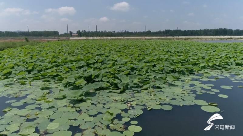 泰安魚池建設(shè) 錦鯉池魚池建設(shè)