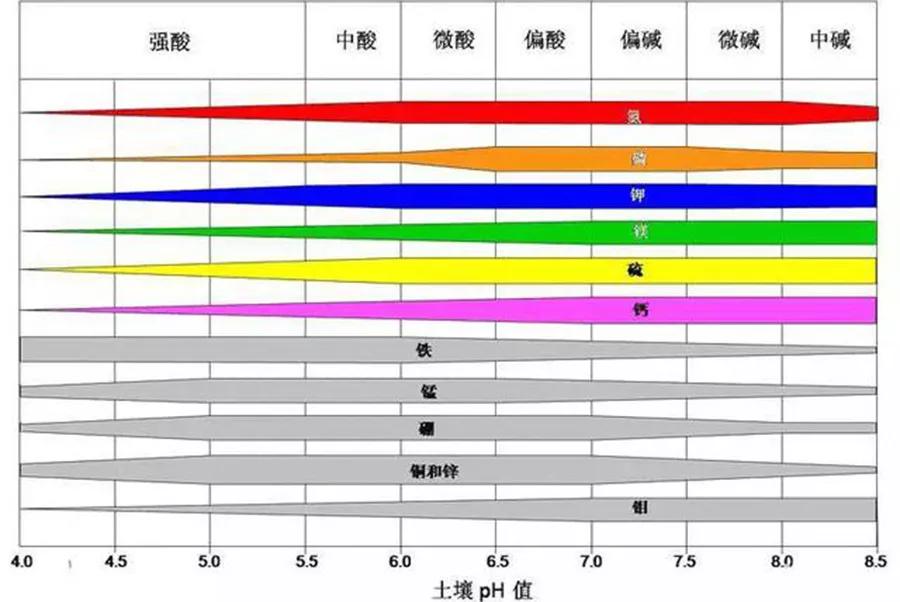 PH調(diào)高劑 廣州水族器材濾材批發(fā)市場