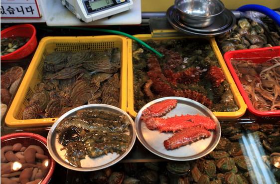 海水魚圖片:你們知道海洋里生活著哪些小動物嗎 海水魚