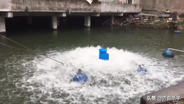 家庭觀(guān)賞魚(yú)池水深多少合適:水景池的水深一般為多少米