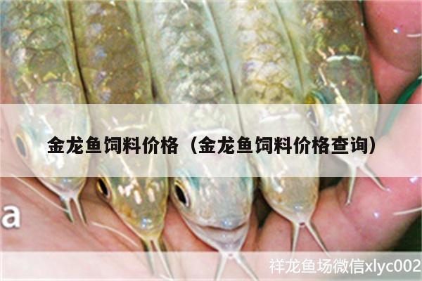 金龍魚飼料價格（金龍魚飼料價格查詢） 夢幻雷龍魚