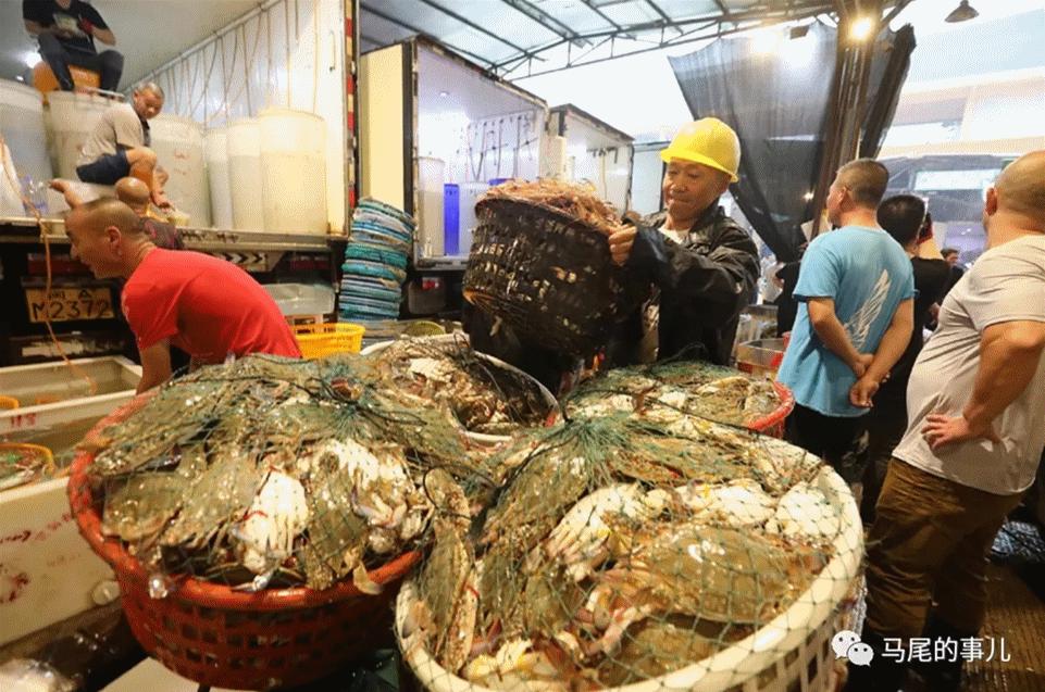 虎魚價格多少錢一條:最好養(yǎng)的冷水觀賞魚