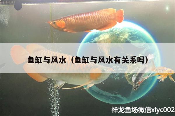 魚缸與風水（魚缸與風水有關系嗎） 魚缸風水