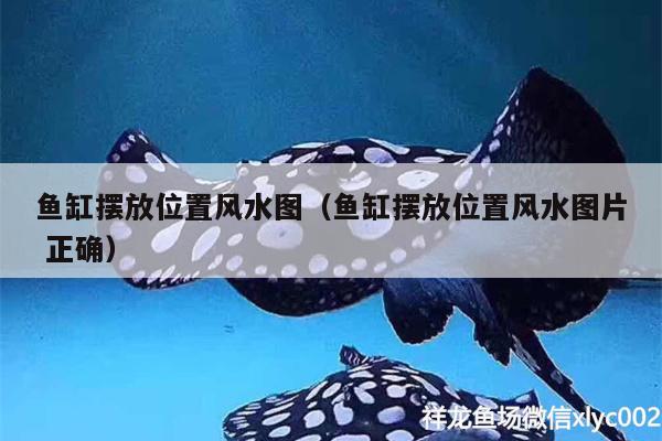 魚缸擺放位置風水圖（魚缸擺放位置風水圖片正確） 魚缸風水