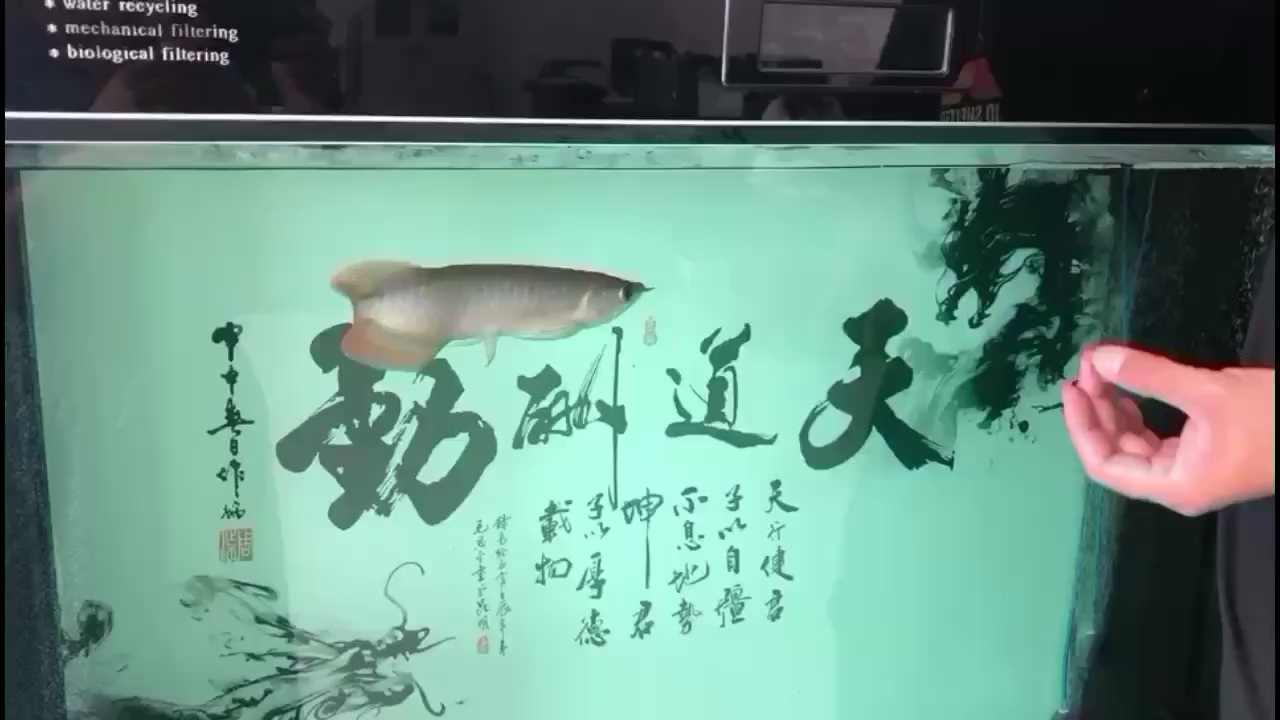 日喀則水族館狀態(tài)還行吧