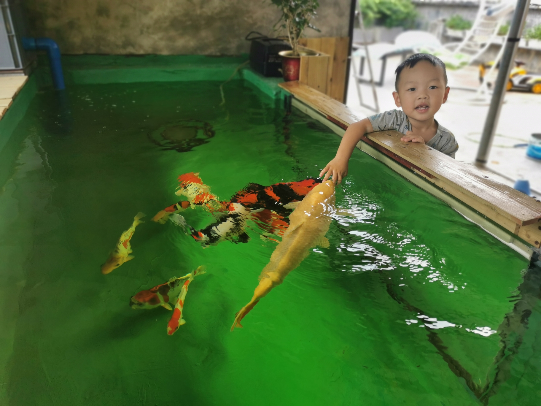 哈密水族館發(fā)發(fā) 慈雕魚 第1張