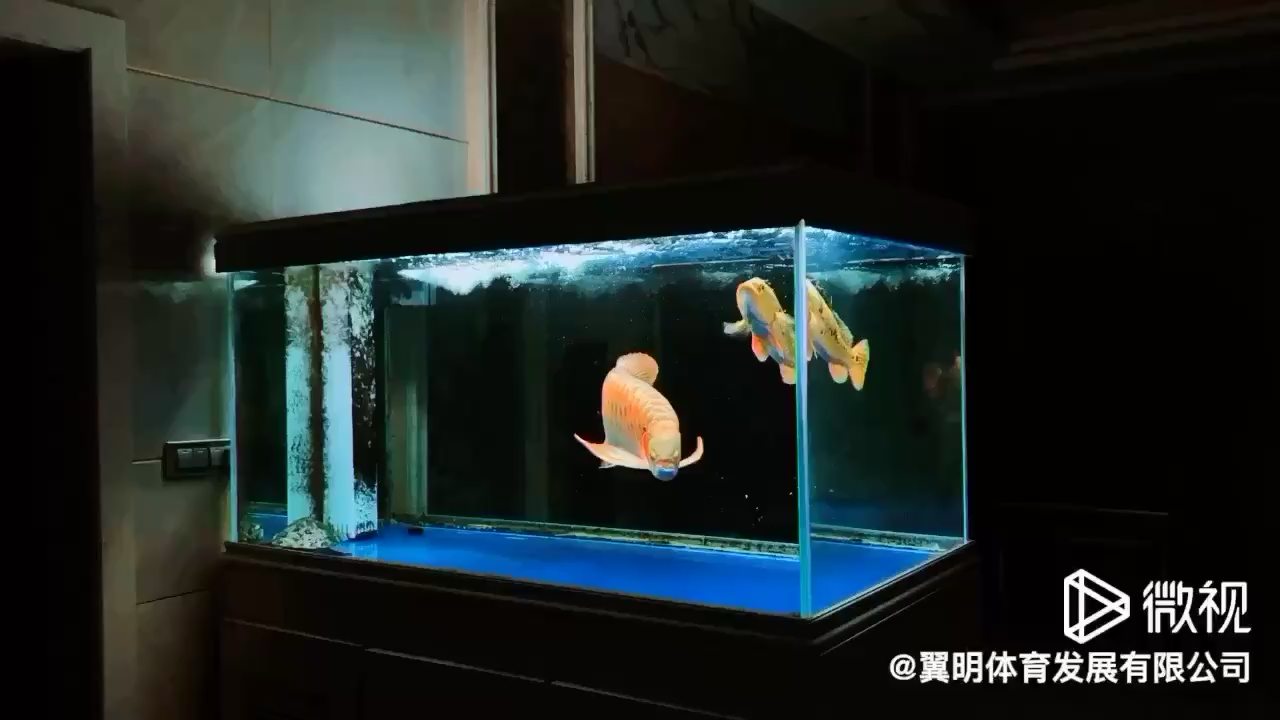 瀘州水族館努力前行