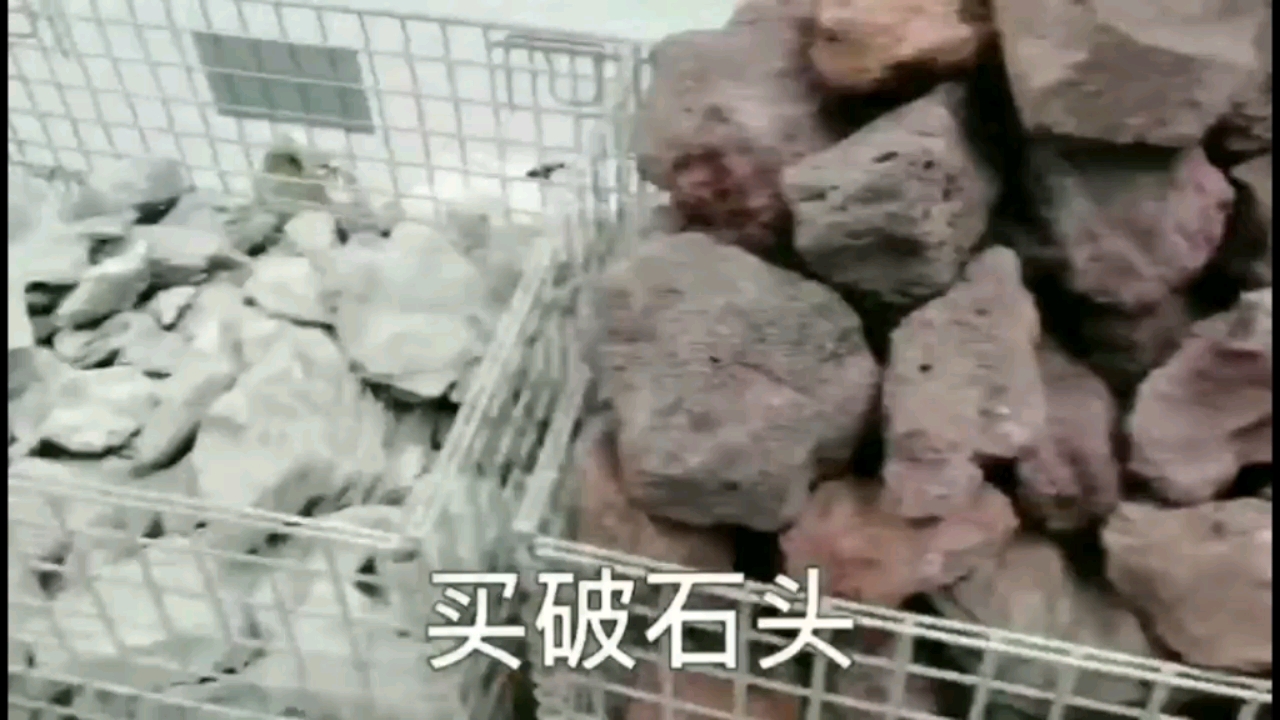 別人家的造景PK我們家的造景 B級過背金龍魚 第1張