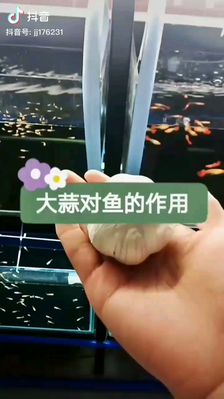 大蒜這么用這到底是不是真的可以