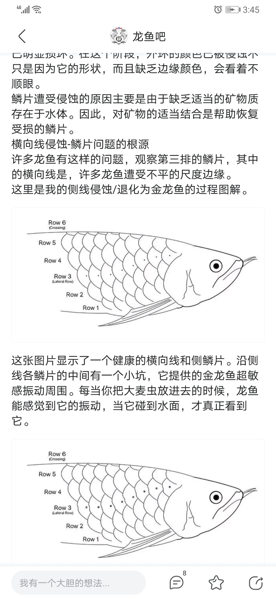 關(guān)于鱗片缺陷的問題請(qǐng)教