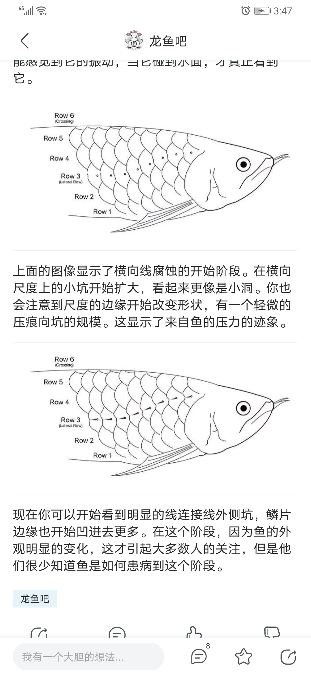 關(guān)于鱗片缺陷的問題請教 斑馬鴨嘴魚 第2張