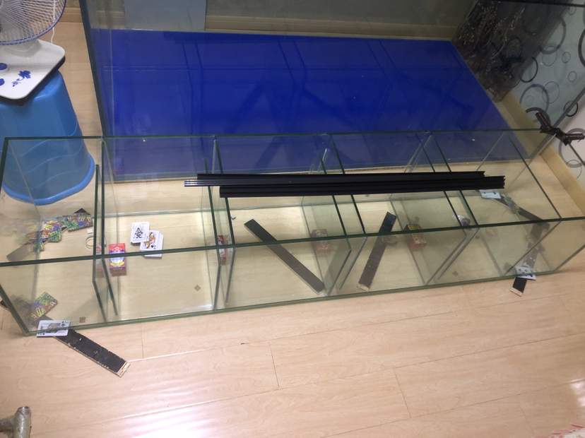 撫順水族館魟魚繁殖缸diy