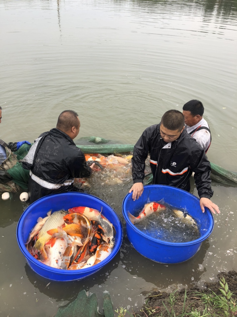 晉中水族館現(xiàn)場(chǎng)打魚照片拍攝好魚多多