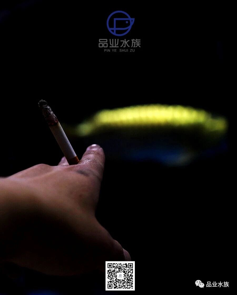 錦州觀賞魚市場當(dāng)若干年后