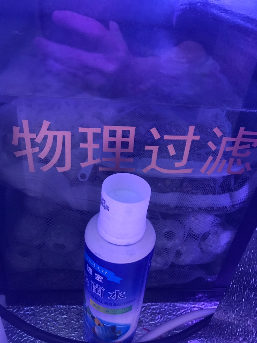 怎么把水養(yǎng)好