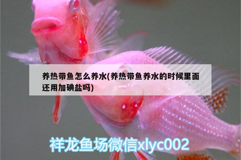 養(yǎng)熱帶魚(yú)怎么養(yǎng)水(養(yǎng)熱帶魚(yú)養(yǎng)水的時(shí)候里面還用加碘鹽嗎)