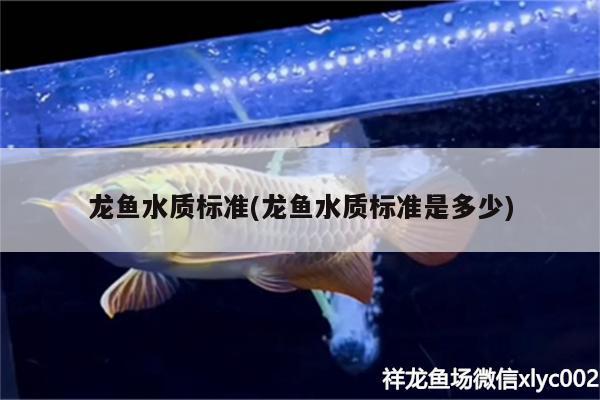 龍魚水質標準(龍魚水質標準是多少)