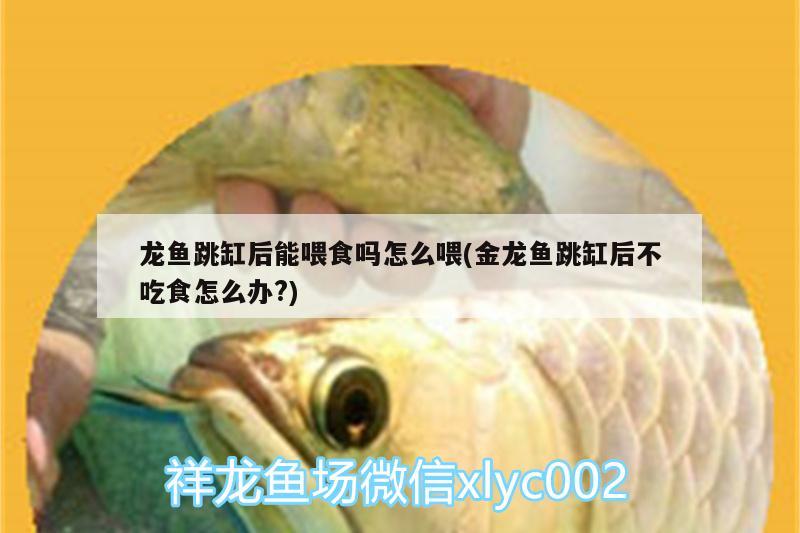 清理魚(yú)缸缸壁上的綠藻最好的方法，如何去除魚(yú)缸里的綠藻