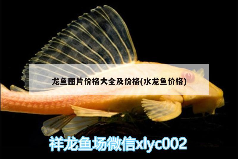 龍魚圖片價格大全及價格(水龍魚價格) 過背金龍魚