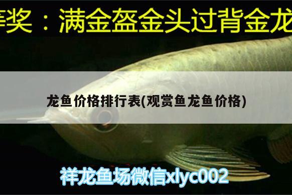 龍魚價格排行表(觀賞魚龍魚價格)