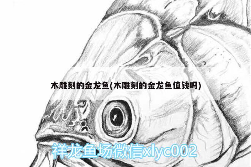 木雕刻的金龍魚(木雕刻的金龍魚值錢嗎) 埃及神仙魚