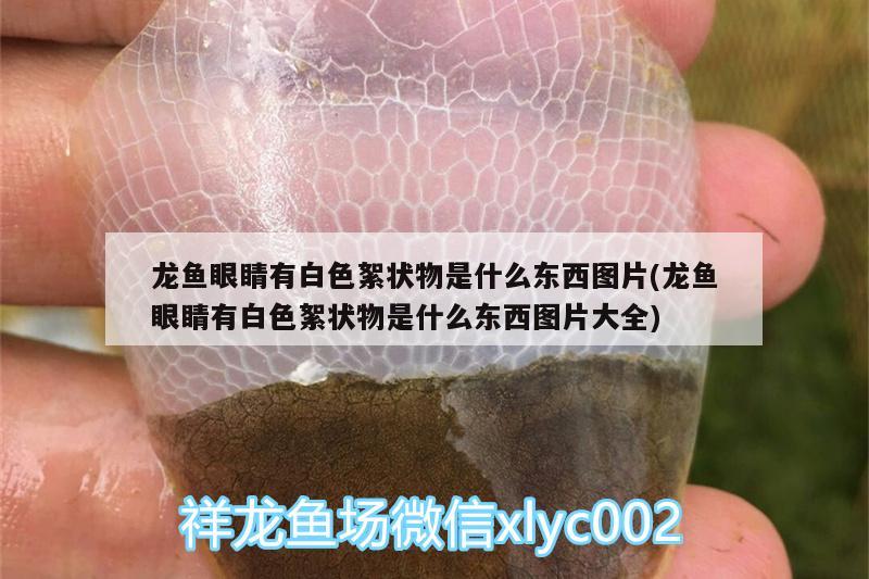 魚(yú)缸上樓搬運(yùn)方法圖解：魚(yú)缸怎么搬上樓