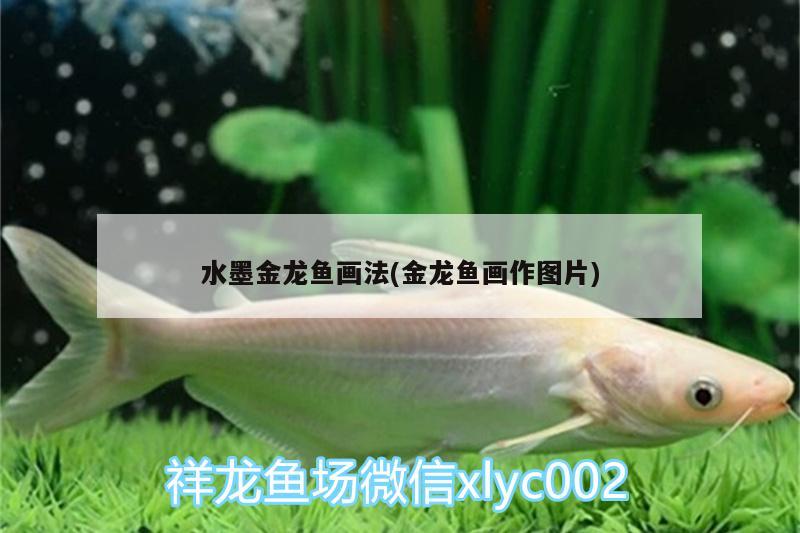 水墨金龍魚畫法(金龍魚畫作圖片) 龍魚芯片掃碼器