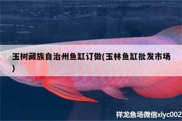 玉樹藏族自治州魚缸訂做(玉林魚缸批發(fā)市場(chǎng)) 杰西卡恐龍魚