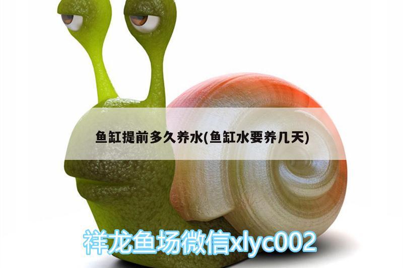 皇冠黑白魟魚圖片(皇冠黑白魟魚怎么分公母)