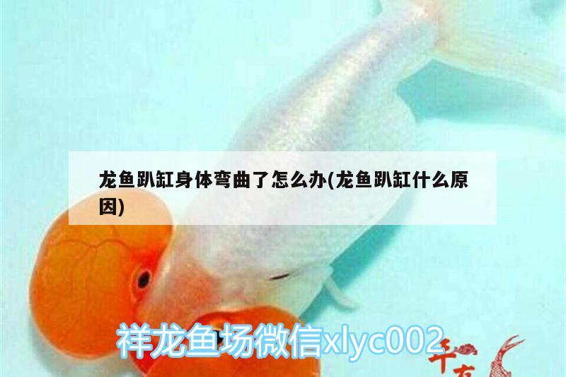 牡丹江觀賞魚養(yǎng)殖基地的地理位置選擇以及優(yōu)勢分析，牡丹江觀賞魚養(yǎng)殖基地的位置選擇以及優(yōu)勢分析