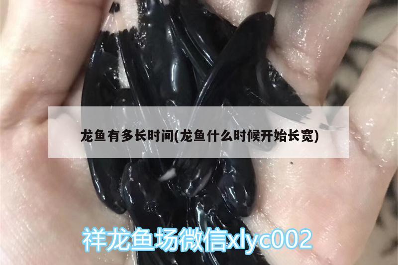 58同城包頭二手魚缸轉(zhuǎn)讓信息電話：58同城包頭二手魚缸轉(zhuǎn)讓信息電話