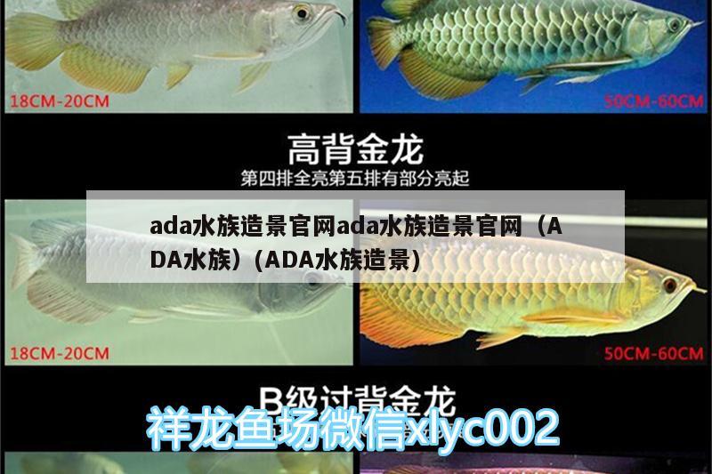 揚(yáng)州魚(yú)缸定制廠家有哪些地方電話(揚(yáng)州水族魚(yú)缸廠) 其他益生菌 第2張