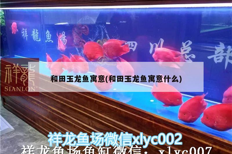 和田玉龍魚寓意(和田玉龍魚寓意什么) 觀賞魚水族批發(fā)市場 第3張